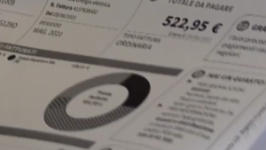 energia elettrica e gas