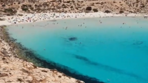 spiagge