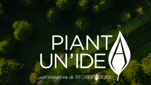 pianta un'idea