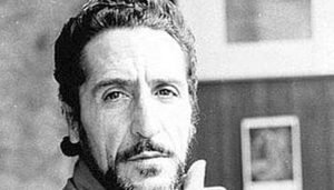 Pippo fava