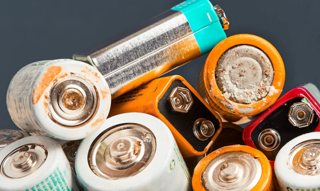 Trova l’Intruso. La campagna per la raccolta delle batterie esauste